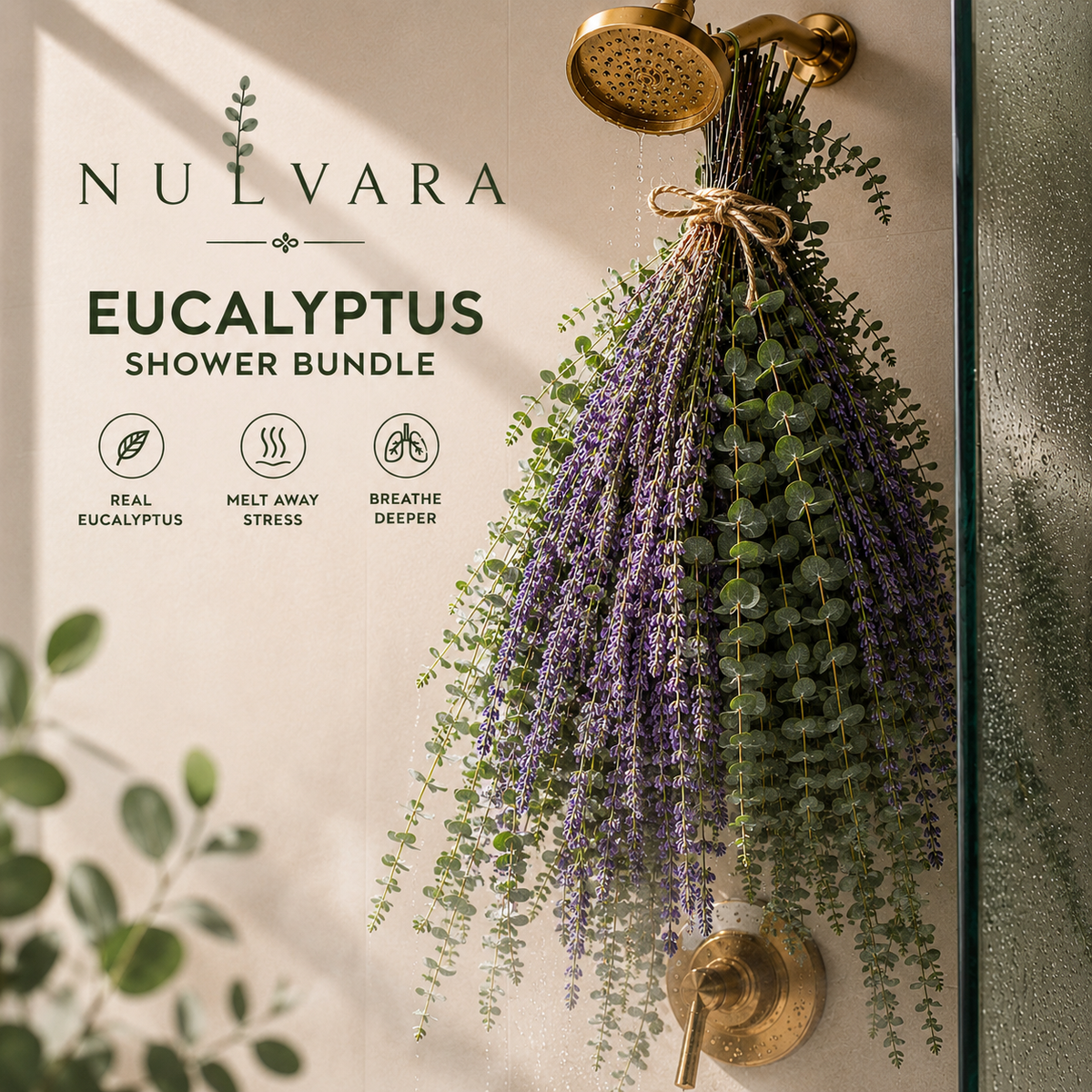 Fresh Eucalyptus Shower Spa Bundle